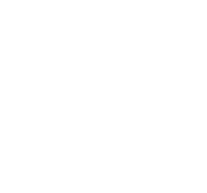 logo8754888